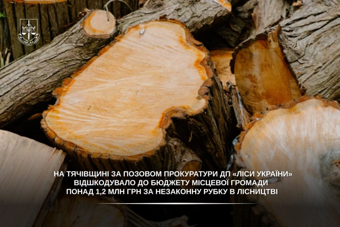 На Тячівщині за позовом прокуратури ДП «Ліси України» відшкодовано до бюджету місцевої громади понад 1,2 млн грн за незаконну рубку у лісництві