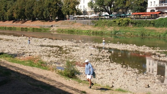Чому міліють річки Закарпаття та як це впливає на водойми