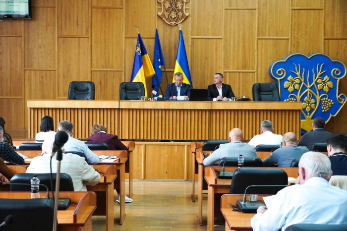  На лікування та реабілітацію: депутати виділили кошти для ужгородців