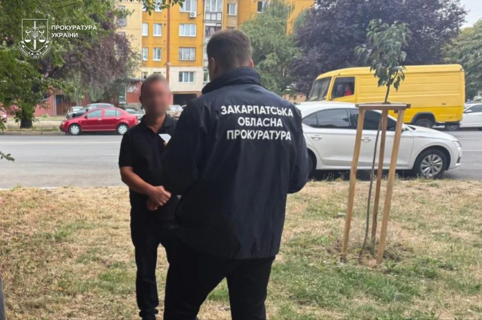 Понад 8 млн грн недостовірних відомостей: на Закарпатті двоє депутатів Оноківської сільради підозрюються у недостовірному декларуванні