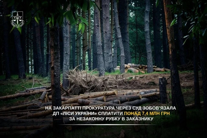 На Закарпатті прокуратура через суд зобов’язала ДП «Ліси України» сплатити понад 7,4 млн грн за незаконну рубку в заказнику