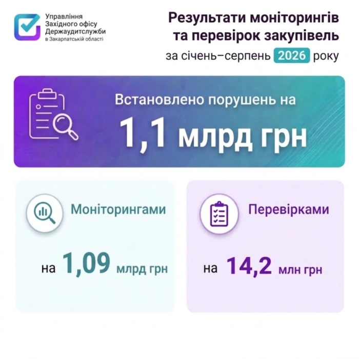 Охопили контролем тендери на майже 1,9 млрд грн, порушень виявили на 1,1 млрд грн – результати закарпатських аудиторів за 8 місяців цього року