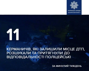 За минулий тиждень патрульні поліцейські Закарпатської області розшукали 11 водіїв, які покинули місце ДТП