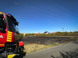 На Закарпатті через спалювання сухостою з початку року згоріло 1085 га
