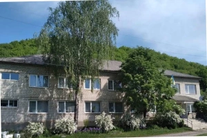 На Ужгородщині прокуратура через суд домоглася оформлення документів на гімназію та початкову школу

