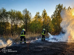 2201 пожежу в екосистемах ліквідували закарпатські вогнеборці від початку року.