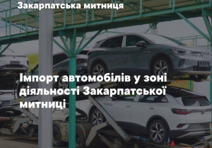 Митне оформлення авто: майже 172 млн грн отримав Держбюджет від Закарпатської митниці за імпорт вживаних транспортних засобів
