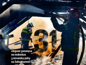 Від початку року на Закарпатті внаслідок пожеж загинула 31 людина, ще 36 — травмувалися