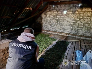 9 років за ґратами: у Мукачеві суд виніс вирок наркоділку, якого викрила поліція
