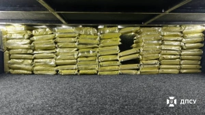 Понад 650 кг речовини, схожої на кратом, прикордонники виявили на кордоні з Угорщиною

