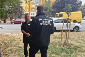 Понад 8 млн грн недостовірних відомостей: на Закарпатті двоє депутатів Оноківської сільради підозрюються у недостовірному декларуванні