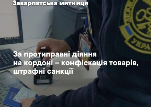 Судові та митні рішення: на Закарпатті порушники митного законодавства вже сплатили до бюджету 27 млн грн

